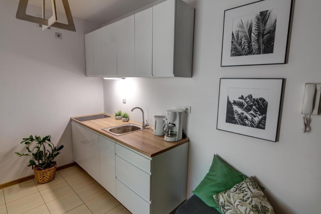 Krynica Apartamenty Rodzinny Apartament w Centrum 43 Zewnętrze zdjęcie